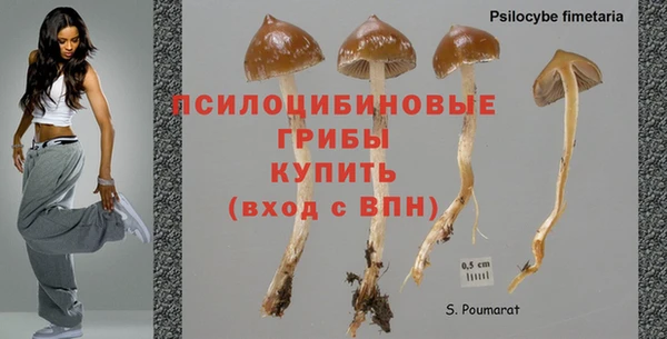 PSILOCYBIN Горняк