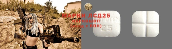 PSILOCYBIN Горняк