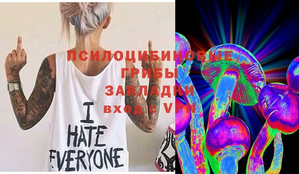 стафф Горнозаводск