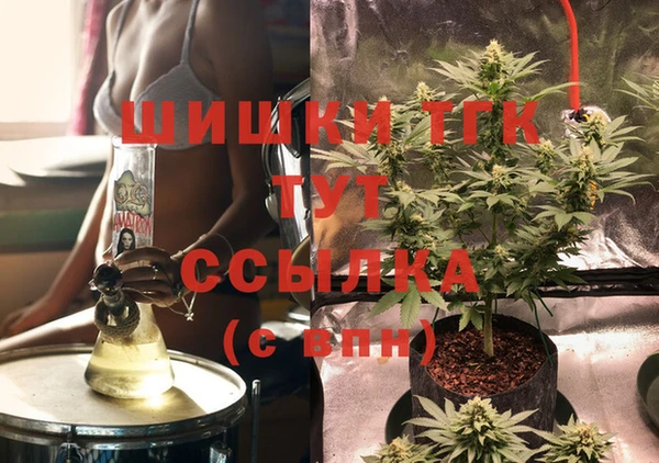 PSILOCYBIN Горняк