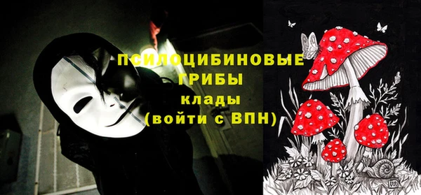 PSILOCYBIN Горняк