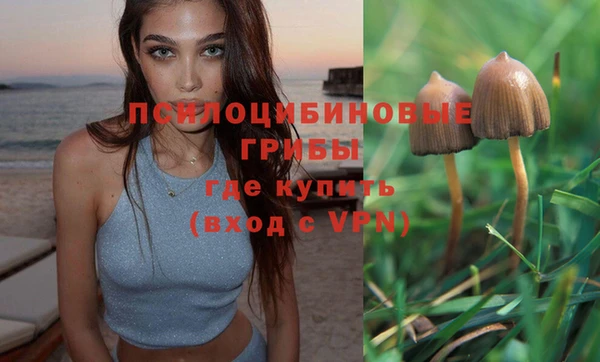 PSILOCYBIN Горняк
